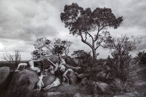 web-vikkshayen-butoh1