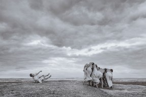 web-vikkshayen-butoh2